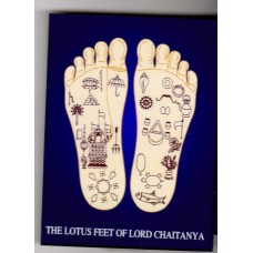 Lotus Feet of Lord Chaitanaya